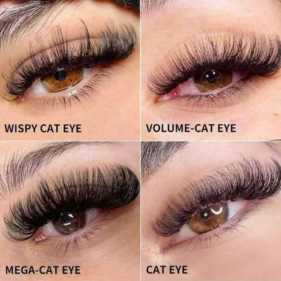 Cat Eyelash Extensions Ultimate Guide