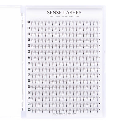 （320 Fans)16 Rows 7D Premade Volume Fans Lashes (Pointy Base) - SENSELASHES