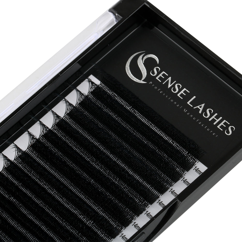 W Style 3D Premade Volume Fan Lashes - SENSELASHES